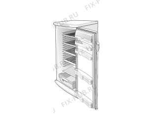 Холодильник Proline SFLP290WA (125801, HS2966) - Фото